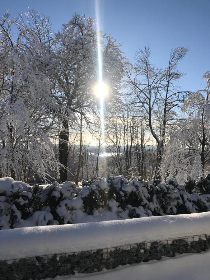 Chill Out Lodge Im Naturparadies Braunlage Exterior foto